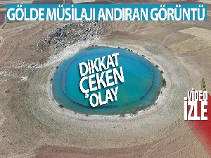 Gölde müsilajı andıran görüntü