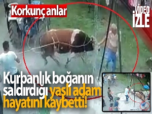Kurbanlık boğanın saldırdığı yaşlı adam hayatını kaybetti