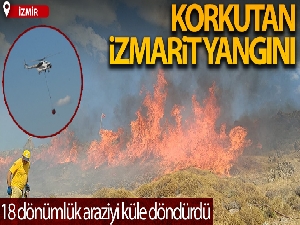 İzmarit yangını 18 dönümlük araziyi küle çevirdi
