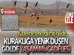 Yalıntaş göleti kuraklığa yenik düştü