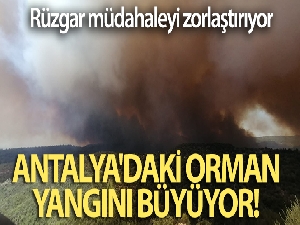 Antalya'daki orman yangını büyüyor! Rüzgar müdahaleyi zorlaştırıyor