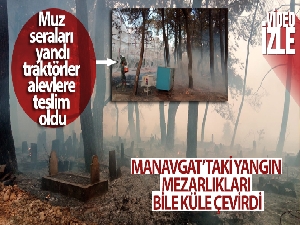 Manavgat'taki yangın mezarlıkları bile küle çevirdi