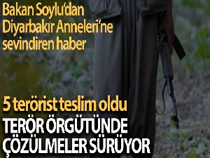 PKK'da çözülme devam ediyor: 5 örgüt mensubu teslim oldu