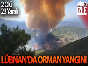 Lübnan'ın kuzeyindeki Akkar bölgesinde orman yangını