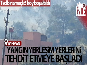 Mersin'deki orman yangını yerleşim yerlerini tehdit etmeye başladı