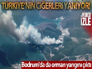 Bodrum'da da orman yangını çıktı