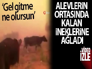 İnekleri alevlerin ortasında kaldı 'Gel gitme ne olursun' diye ağladı