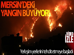 Aydıncık'taki yangın yerleşim yerlerini tehdit etmeye başladı