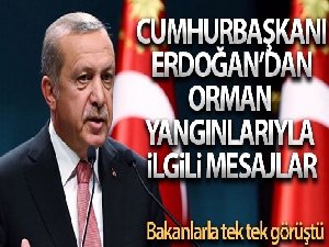 Cumhurbaşkanı Erdoğan: 'Orman yangınlarının söndürülmesi için devletin tüm imkanları seferber'