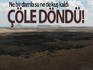 Ne bir damla su ne de kuş kaldı