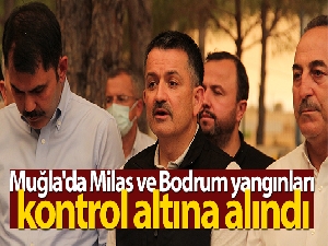 Bakan Pakdemirli: Muğla'da Milas ve Bodrum yangınları kontrol altına alındı