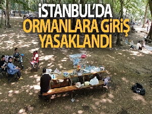 İstanbul'da ormanlara giriş yasaklandı