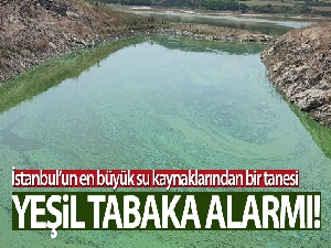 Sazlıbosna Gölü tehlike saçıyor, gölün rengi yeşile döndü
