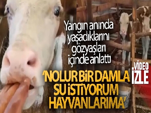 Yangın anında yaşadıklarını gözyaşları içerisinde anlattı, sözleri yürekleri burktu