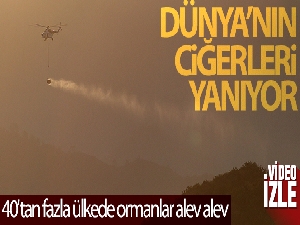Dünyanın ciğerleri yanıyor