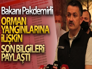 Bakanı Pakdemirli, orman yangınlarına ilişkin son bilgileri paylaştı