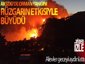 Akseki'de orman yangını devam ediyor