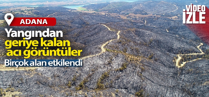 Bakan Pakdemirli, yangınlarla ilgili son durumu açıkladı! Kritik nem uyarısı