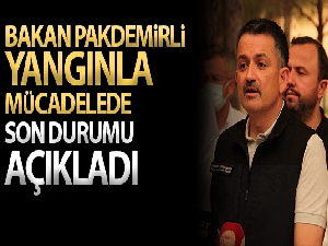 Bakan Pakdemirli: '125 yangından 117'si kontrol altına alındı, 8 noktada yangın devam ediyor'