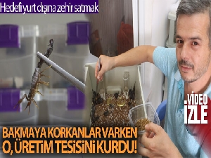 300 akreple başladı, hedefi yurt dışına zehir satmak