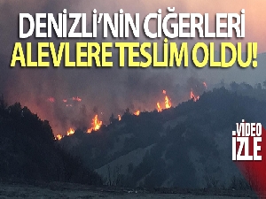 Denizli'nin ciğerleri alevlere teslim oldu