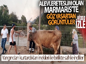 Alevlere teslim olan Marmaris'te göz yaşartan görüntüler