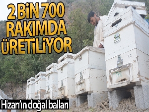 Hizan'ın 2 bin 700 rakımlı yaylalarında doğal bal üretimi