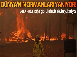Dünyanın ormanları yanıyor