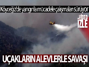 Köyceğiz'de yangınla mücadele çalışmaları sürüyor