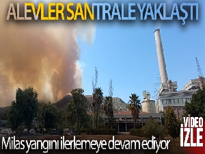Alevler santrale yaklaştı