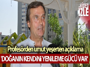 Yangınların ardından profesörden umut yeşerten açıklama: 'Doğanın kendini yenileme gücü var'