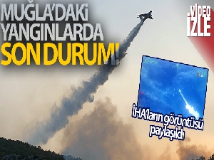 Muğla'daki yangınlarda son durum