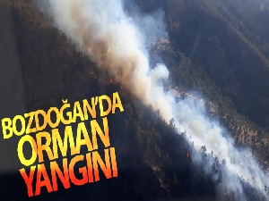 Bozdoğan'da orman yangını