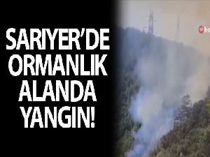 Sarıyer'de ormanlık alanda yangın