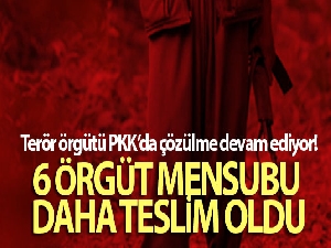 Terör örgütü PKK'da çözülme devam ediyor: 6 örgüt mensubu daha ikna yoluyla teslim oldu