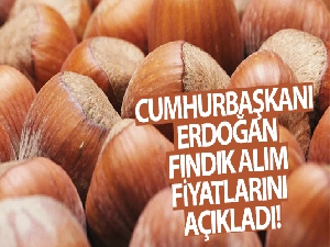 Cumhurbaşkanı Erdoğan fındık alım fiyatlarını açıkladı