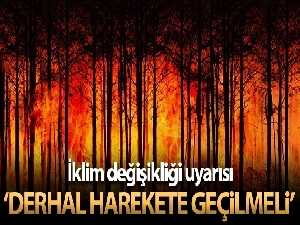 IPCC uyardı: 'İklim değişikliğini sınırlandırmak için derhal harekete geçilmeli'