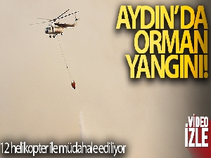 Çine'de orman yangını