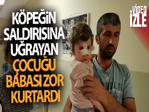 Köpeğin saldırısına uğrayan çocuğu babası zor kurtardı