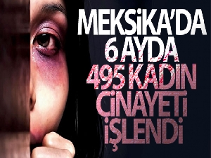 Meksika'da 6 ayda 495 kadın cinayeti işlendi