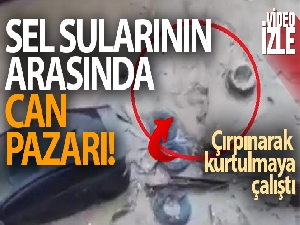 Sel sularının arasında can pazarı