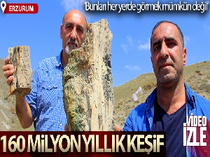 Erzurum'da 160 milyon yıllık keşif