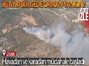 İzmir'de iki ayrı bölgede orman yangını: Havadan ve karadan müdahale başladı