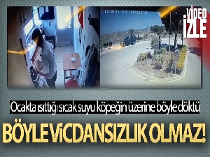 Güvenlik görevlisi ocakta ısıttığı sıcak suyu sokak köpeğinin üzerine böyle döktü
