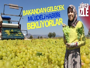 Üzümcünün kulağı bakandan gelecek müjdeli haberde