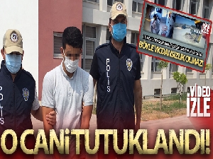 Sokak köpeğine ısıttığı sıcak suyu döken güvenlik görevlisi yakalandı