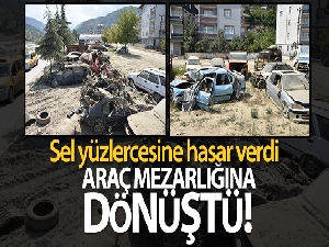 Ayancık'ta sel sonrası araba mezarlığı