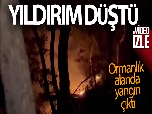 Bursa'da yıldırım düştü, ormanlık alanda yangın çıktı