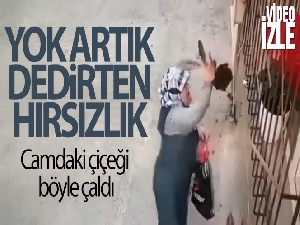 Camdaki çiçeği saksıdan söküp çalan kadın kameralara yakalandı