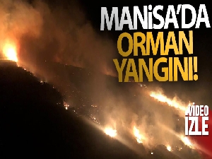 Manisa'da orman yangını!